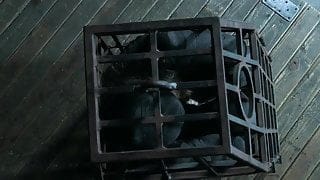 Slipknot – Psychosocial (PMV)